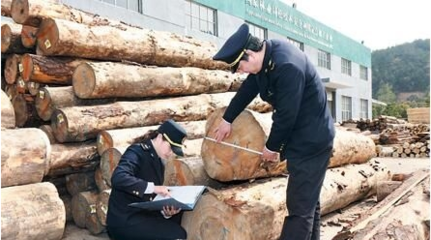 湖州市進口木材總量及增長幅度創歷史新高的原因分析
