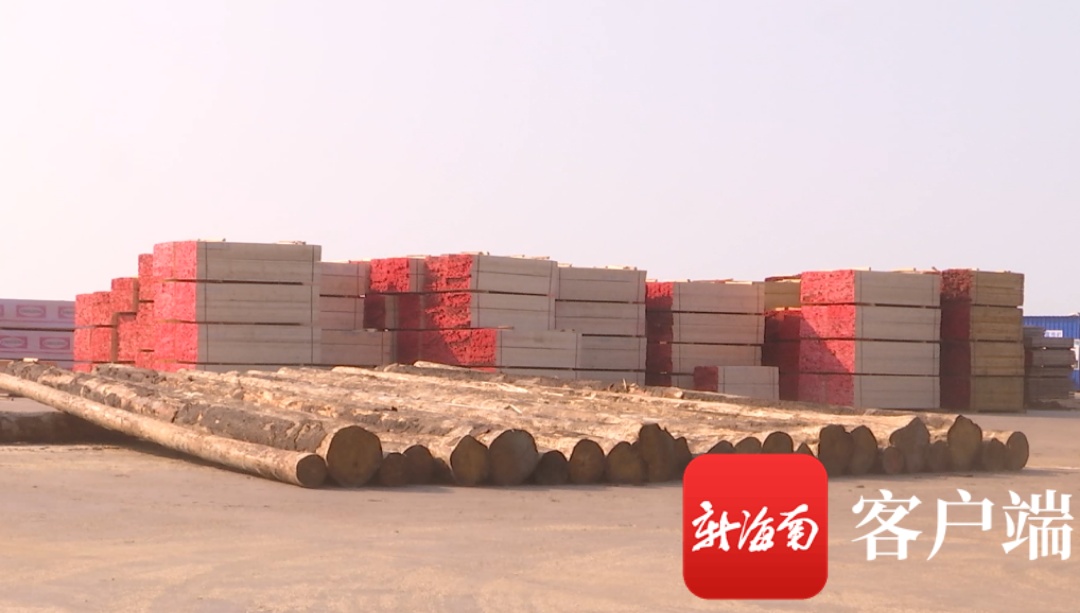 洋浦 海南中順國際木材產業園將打造全省首家大宗進口木材產品交易集散中心