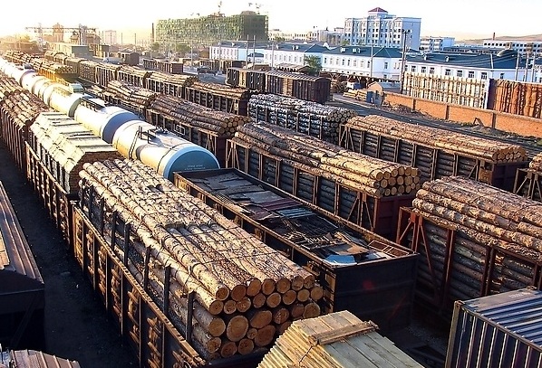 木材進(jìn)口 全球采購的必備攻略與市場趨勢(shì)分析